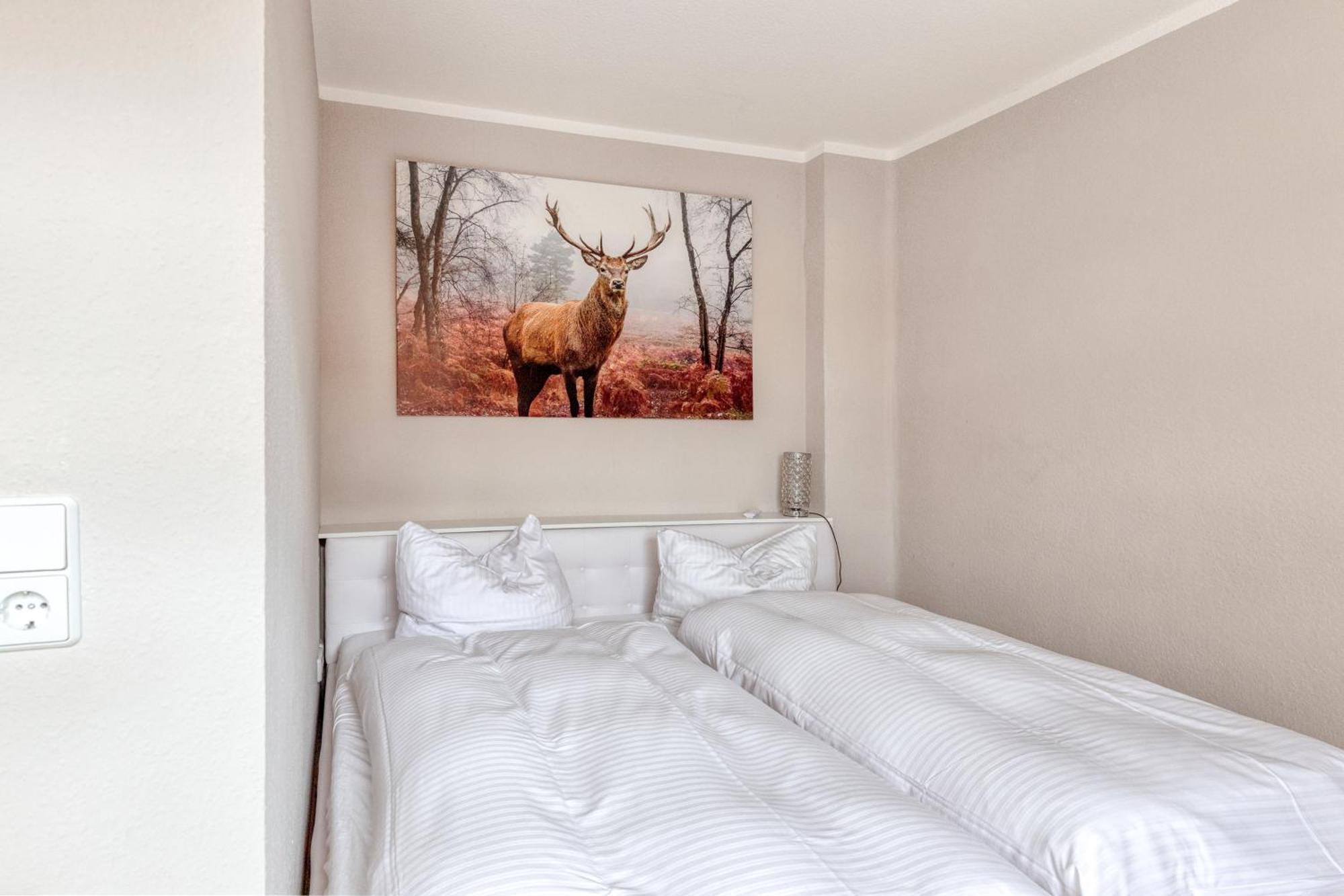 Ziesing Apartment Thale
